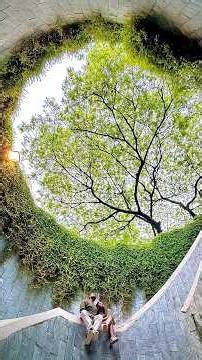 From thrill rides at Universal Studios Singapore 🎢 to Garden By the Bay