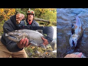 Salmon Fishing With Spinners ~ Late Season Coho & Chinook Salmon