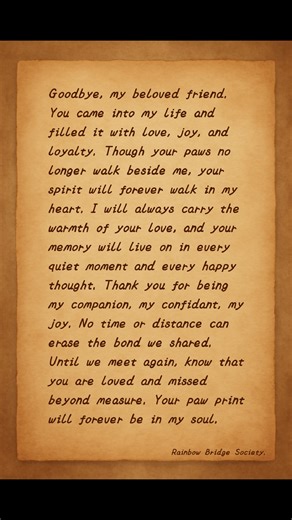 ❤️❤️🐾🐾 -------------- #rainbowbridge | #petslover | #pets | #cat | #dog | #fypシ | #fypviralシ | Rainbow Bridge Society