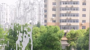 SetSail Squeegee for Shower Glass Door Stainless Steel Shower Squeegee for Glass Doors All-Purpose Window Squeegee for Tile Shower Walls, Sink, Mirror, Bathroom, Car Window Cleaning 10 Inches