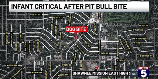 Infant in critical condition after dog euthanized following Prairie Village incident