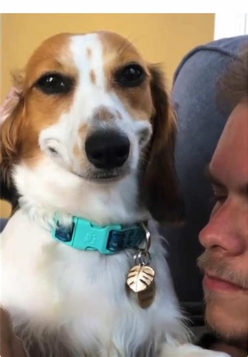 When your dog becomes your boyfriend’s new favorite🐶❤️ #dog #funnyvideos #dogsoftiktok #fyp #funny