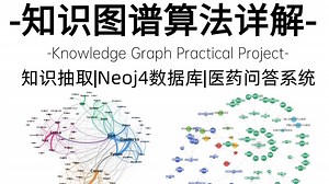知识图谱+知识抽取可太简单了！2025年最通俗易懂的算法教程，一口气学完Neoj4数据库、医药问答系统，原理+实战，看完即可跑通！机器学习/深度学习/人工智能