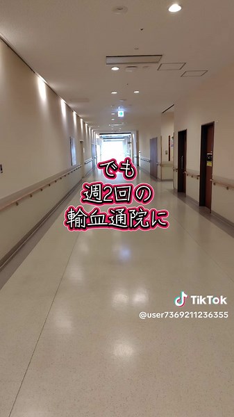 まだスタートラインには立っていない #急性骨髄性白血病 #癌 #造血幹細胞移植