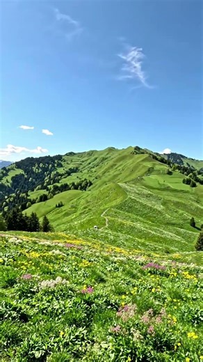 Beautiful spring mountains #springambience #mountains #mountainview #naturesounds