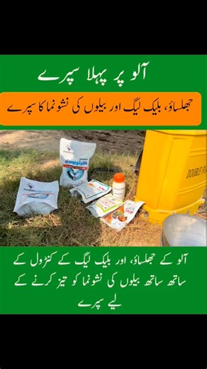 9.1K views · 127 reactions | Control of potato late and early blight and potato blackleg disease #phytobooster #blackstop #potato #plantclinics | Plant Clinics | Facebook