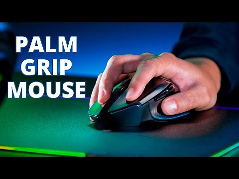 Top 5 Best Palm Grip Mouse
