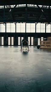 ➡️ Comment “APP” to unlock 100 music-powered workouts & live sessions in our app 💪💥 Join the Champions League of bodyweight workouts! Improve your: ✅ Coordination ✅ Strength ✅ Mobility ✅ Endurance ✅ Overall Fitness ✅ Confidence ✅ Control & Body Awareness Trust us, you’ve never trained like this before! 👉 Follow @hiitthebeat and start to HIIT different. FITNESSAPP TRAININGAPP HOMEWORKOUT #hiitthebeat #hiitworkout #bodyweightworkout #bodyweighttraining #mobility #functionaltraining #fitnessapp 