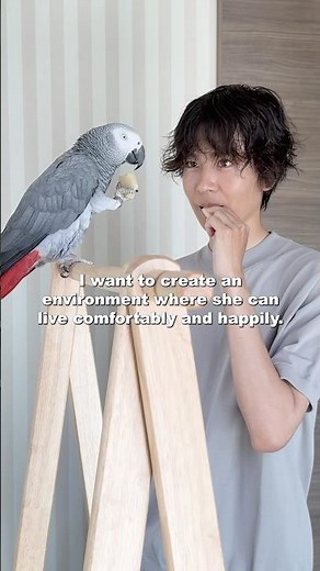 This is what it’s like when you give a parrot its own room.