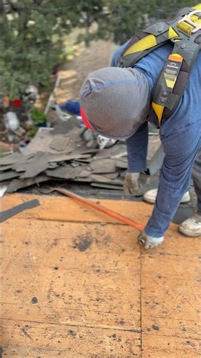 Roofer tearing off old shingles fast with shovel! 😬 #roofing #construction