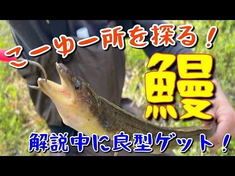 【ウナギの穴釣り】仕掛けからポイント解説まで！