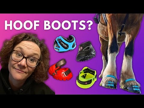 HOOF BOOTS - are they just a gimmick? (or changing the equine world?)