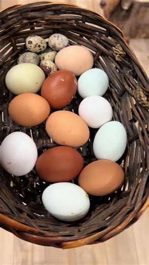 🐓👩🏼‍💻DAY IN THE LIFE of a homesteader with a corporate girly job! 👩🏼‍💻🐓 #homestead #homesteader #corporategirlie #runnerducks