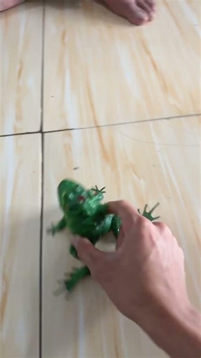 screaming frog #funny