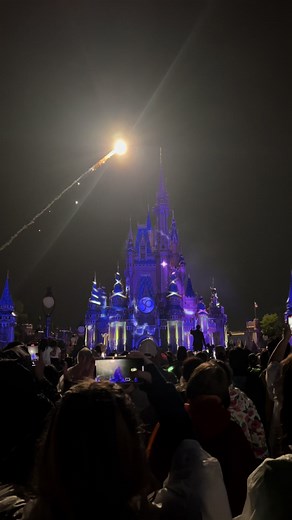 Favorite Walt Disney World Fireworks: Happily Ever After vs. Enchantment
