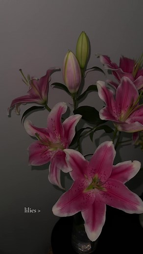 All About Lilies: Care and Varieties