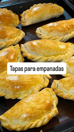 Tapa para empanadas la verdad yo no miré el programa así que no sé si las tapas son para freír o al horno pero quedaron genial al horno! El video lo saqué de @canal8mdp Se los recomiendo! ❤️😀 #homemade #recetas #masterchef #empanadas | Casero con Daiana