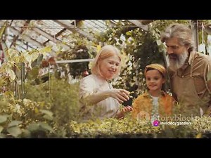 DIY Mini Greenhouse: A Step-by-Step Guide