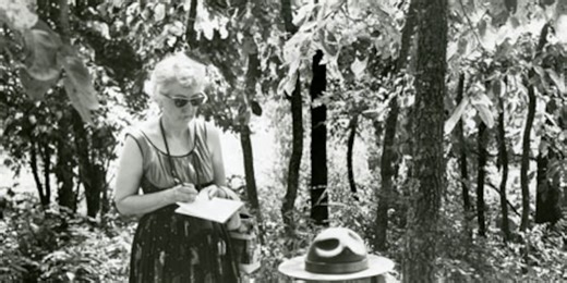 The Place for History: The true love of a former Newspaperwoman of the Ozarks