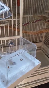 5.6K views · 292 reactions | Ugh...not sure what to do with this...