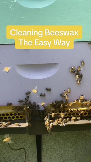 Cleaning Beeswax Made Easy
