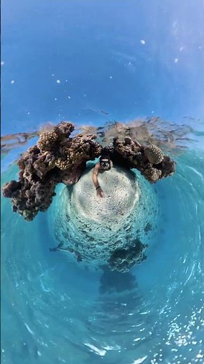 The Insta360 X3 Invisible Dive Kit is HERE! 🤿 #Insta360 #Insta360X3 #ReadySetDive #diving #shorts