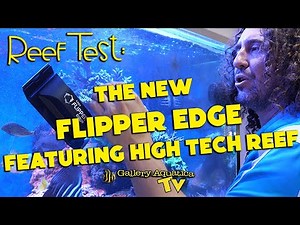 Reef Test: The new FLIPPER EDGE! - Ft High Tech Reef