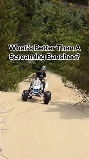 Name a Better Sound… I’ll Wait 😂🔥 #yamahabanshee #banshee #2stroke