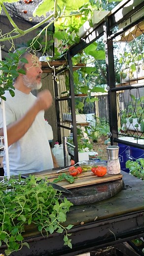 85K views · 1.8K reactions | Hydroponic tomatoes has so much flavor.  #permaculture #gardeningtips #diy #hydroponics #gardening Music Artist: Adam Griffith Title: In Mind | Keep on Growin' | Facebook