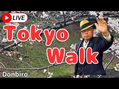 [Tokyo Walk] Walking from Katsushika Mizumoto Park to Shibamata Taishakuten 🌸