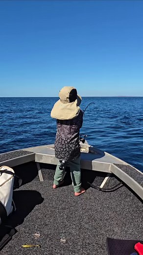 POV: You're five years old and you find yourself swinging off a sailfish 🎣🤙 With his new PENN Battle III reel and PENN Regiment II rod in hand, Caleb wasted no time in putting them to the test against a fish much larger than himself Well done little dude 👏#PENNFishingANZ #LetTheBattleBegin | PENN Fishing
