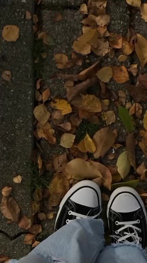 Autumn Scenes: A Journey Through Fall's Beauty