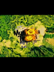 Minecraft Mushoku Tensei MMORPG ideas | Mineshokutensei