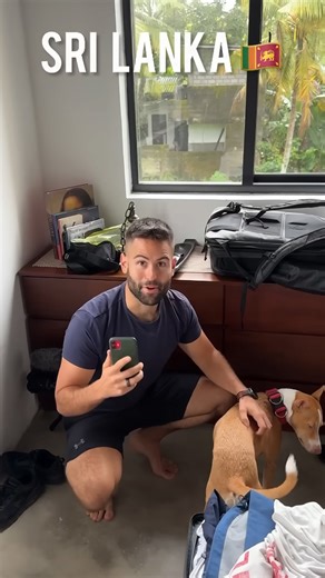 Traveling in Sri Lanka: We met a dog that only knew Sinhala