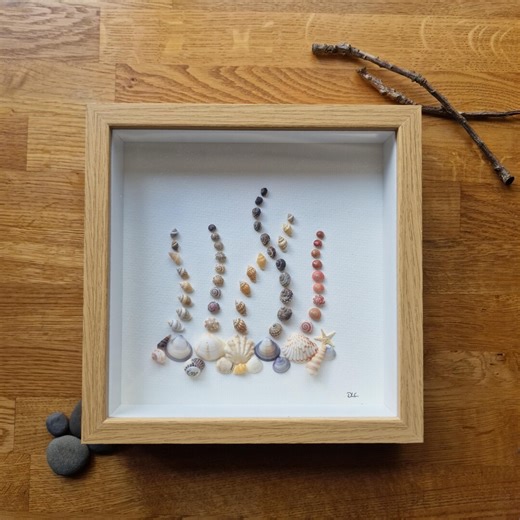 Handmade 3D Shell Shadow Box Art | Coastal Natural Decor - Etsy