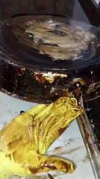 Homemade Fat Melter Result #recipe#tip#cleaning#