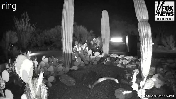 Woman’s body found near Phoenix canal raises questions in Nancy Guthrie search
