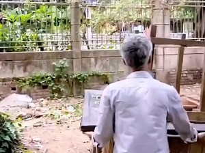 7.4K views · 187 reactions | "ভাই 'এতো করে বলছে 'বাজান ভাঙ্গেন না আমি লইয়া যাইগ্গাই! "তাও কেন ভাঙ্গলেন!? | Riyaz Mohammad Officials | Facebook