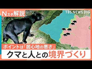 【クマはどこから？】「川沿い」の危険性 “クマとの共生”目指す取り組み「ゾーニング」効果とは｜TBS NEWS DIG