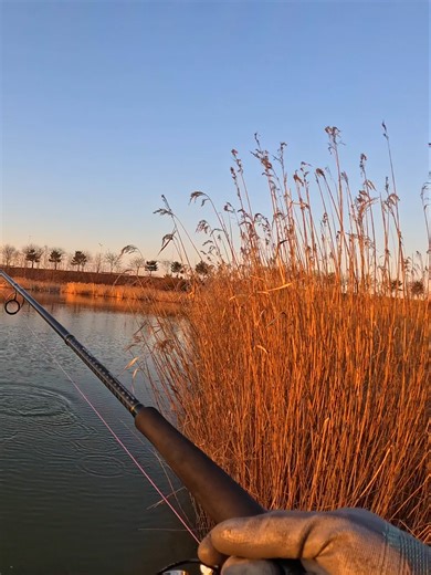 Рыбалка — это настоящий fishing life, где каждый рыбак и angler отправляется на ловлю рыбы в свой fishing trip. Когда начинается клёв, появляется шанс на big catch, трофейная рыба или даже giant fish. На берегу реки или озера рыболов готовит спиннинг и spinning rod, берет удочку и fishing rod, проверяет катушку — reel, а также леску и fishing line или плетенка — braided line. На крючок — hook ставится наживка bait или приманка lure: воблер wobbler, блесна spinner или джиг jig. Кто-то выбирает по