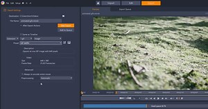 How to create animated GIFs in Pinnacle Studio - Corel Discovery Center