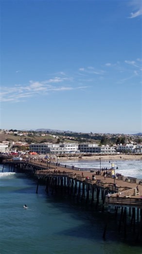 From breaching humpbacks to fluttering monarchs, Pismo Beach is alive with movement this time of year. 🍂🐋🦋 Each fall, our coast transforms into a sanctuary for migrating wildlife, and this season, we’re thrilled to share that Pismo Beach’s adopted humpback whale, Finley, was recently spotted off Shell Beach!Thanks to citizen scientists on @HappyWhale, we can track when he’s nearby. Here’s to safe travels for Finley and the rest of the humpbacks as they journey south, and to the monarchs begin
