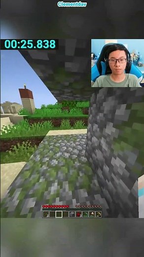 Villager Fricker Speedrun in 56 Seconds (WORLD RECORD)