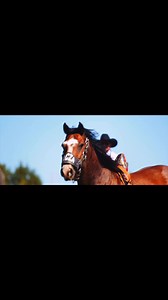 Pendleton Roundup 🤘🏻 ‌📸 @brooks4sythe_edits ...#rodeo #pendletonroundup #broncriding #bullriding #steerwrestling #barrelracing #roping #westernlife #westernlifeandstyle | The Rodeo Trail