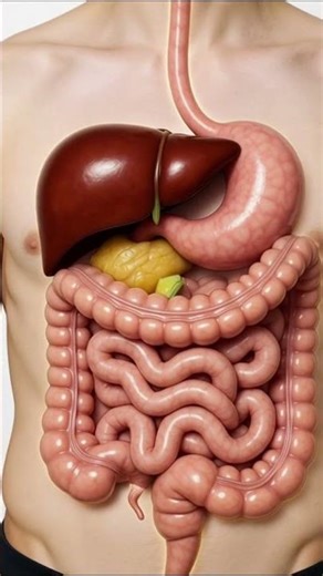 What Happens When You Eat an Onion in 3D Animation Digest View #short #trending