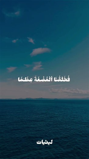 الشيخ محمد الليثي سورة المؤمنون#قرآن #قران_كريم #المصحف #اكسبلور #تصميمي