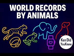 10 World Records That Were Set By Animals