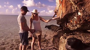 83K views · 89 shares | Why have reef sharks returned to an old atomic bomb testing site? Nuclear Shark is available EXCLUSIVELY on demand. 麗 #SharkWeek | Discovery Channel UK | Facebook