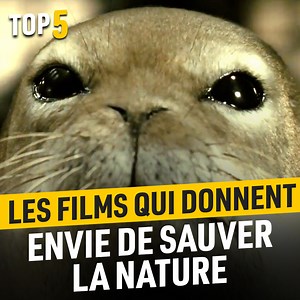 Farouche défenseur de la nature, Jacques Perrin a montré son engagement au travers de divers documentaires qui nous rappelent ô combien notre planète est belle et unique 🥰 | AlloCiné