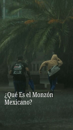 ¿Qué es el monzón mexicano? La palabra “monzón” es de origen árabe, significa “estación” y se refiere a una serie de cambios de temperatura, humedad y presión atmosférica que producen lluvias intensas. #lluvias #clima #cambioclimatico